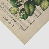 Ephemera Christelijke Song O Heilige Nachtontkoppe Tissuepapier (Detail)