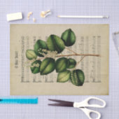 Ephemera Christelijke Song O Heilige Nachtontkoppe Tissuepapier (Craft)