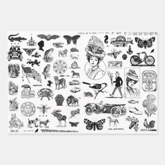 Ephemera Collage papieren bladen voor ontkoppeling Inpakpapier Vel (Voorkant 2)