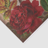 Ephemera Collage Shabby Chic Decoupage Tissuepapier (Detail)