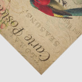 Ephemera Colorful Sunbird Painting Decoupage Tissuepapier (Detail)