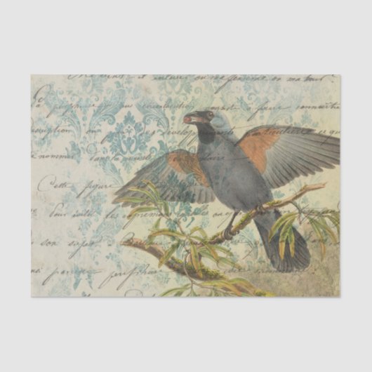 Ephemera Damask Bird Tissuepapier (Voorkant)