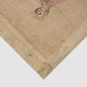 Ephemera Dancer Tissuepapier (Detail)
