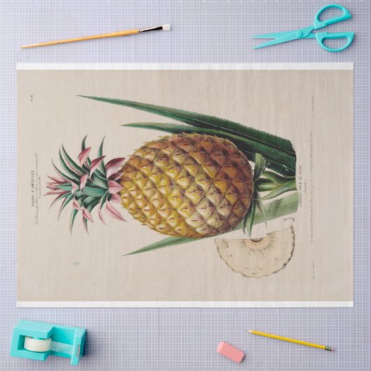  Ephemera Decoupage Ananas Tissuepapier (Craft)