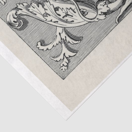 Ephemera Decoupage Antiek Illustratie Tissuepapier (Detail)