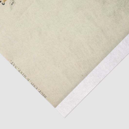 Ephemera Decoupage-Giraffe Tissuepapier (Detail)