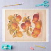  Ephemera Decoupage herfstappels Tissuepapier (Craft)