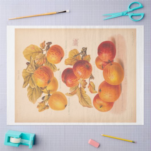 Ephemera Decoupage herfstappels Tissuepapier (Craft)