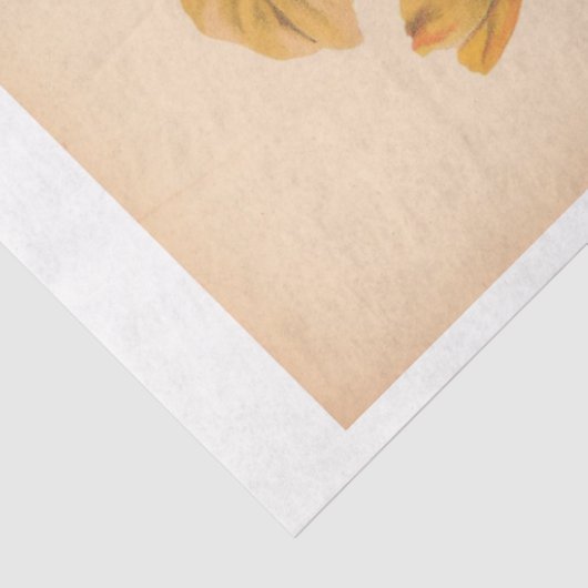 Ephemera Decoupage herfstappels Tissuepapier (Detail)