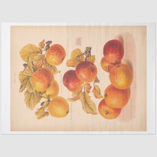  Ephemera Decoupage herfstappels Tissuepapier (Voorkant)