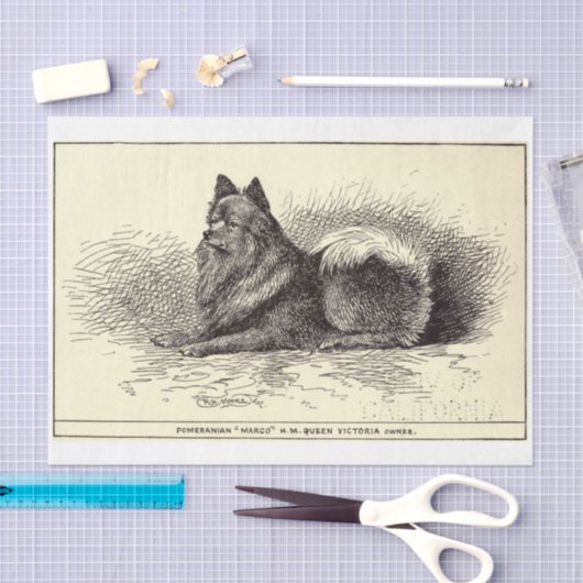Ephemera Decoupage Queen's Pomeranian Dog Tissuepapier (Craft)