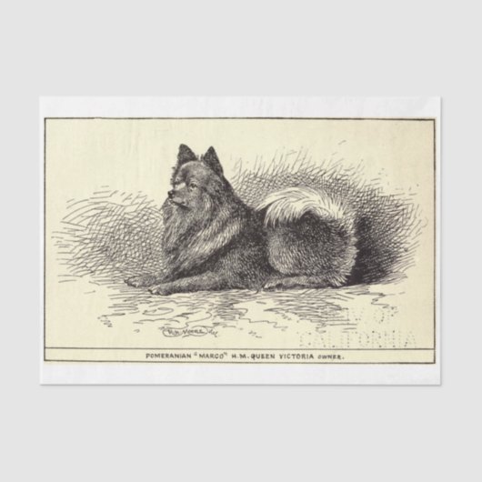  Ephemera Decoupage Queen's Pomeranian Dog Tissuepapier (Voorkant)