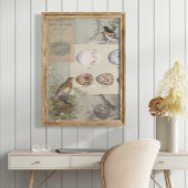 Ephemera Eieren Nest Script Decoupage 1 Tissuepapier