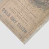  Ephemera Eieren Nest Script Decoupage 1 Tissuepapier (Detail)