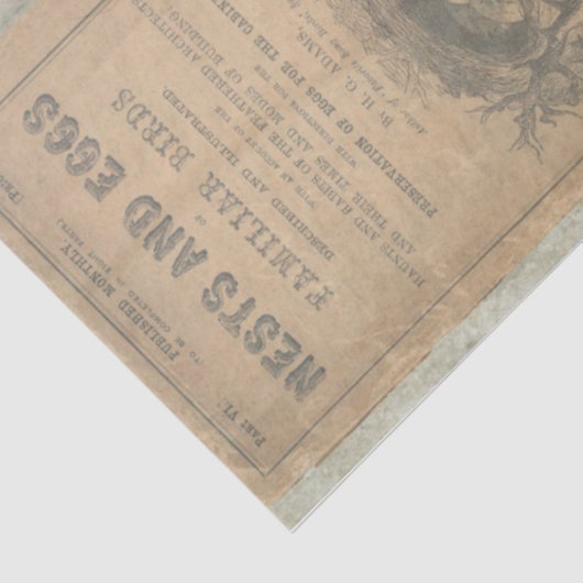 Ephemera Eieren Nest Script Decoupage 1 Tissuepapier (Detail)