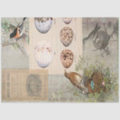  Ephemera Eieren Nest Script Decoupage 1 Tissuepapier (Voorkant)