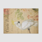 Ephemera Frans Briefkaart Cockatau Bird Decoupage Tissuepapier (Voorkant)