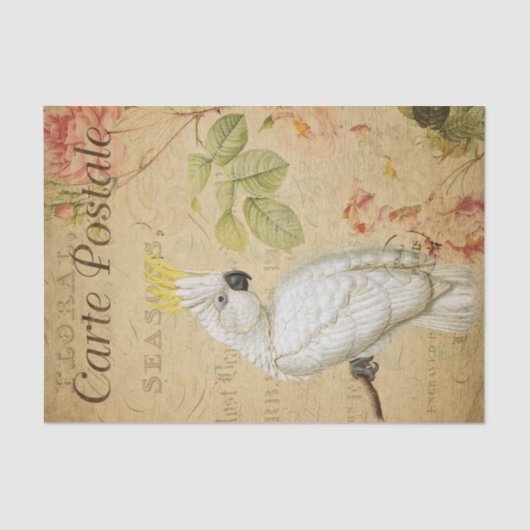 Ephemera Frans Briefkaart Cockatau Bird Decoupage Tissuepapier (Voorkant)