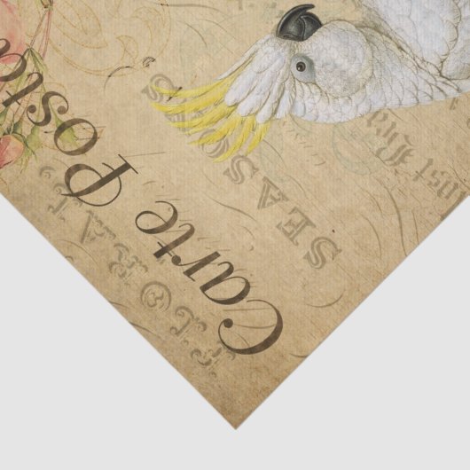 Ephemera Frans Briefkaart Cockatau Bird Decoupage Tissuepapier (Detail)