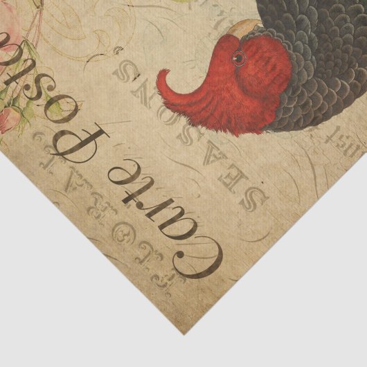 Ephemera Frans Briefkaart Ganga Cockato Decoupage Tissuepapier (Detail)