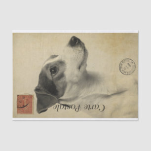 Ephemera Frans Briefkaart Jack Russel Terrier Dog Tissuepapier