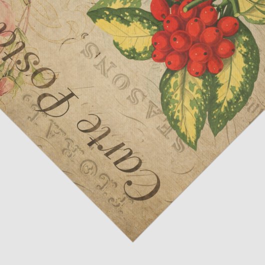 Ephemera Frans Briefkaart Red Berries ontkoppeling Tissuepapier (Detail)