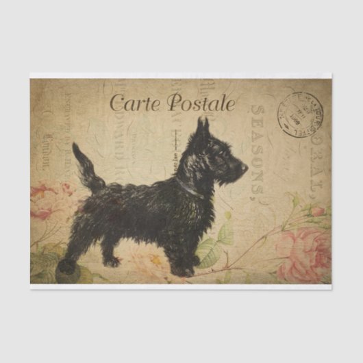 Ephemera Frans Briefkaart Terrier Dog Ontkoppeling Tissuepapier (Voorkant)