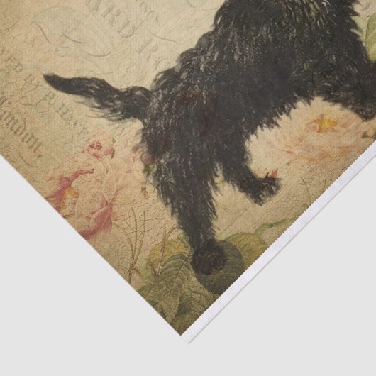 Ephemera Frans Briefkaart Terrier Dog Ontkoppeling Tissuepapier (Detail)