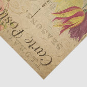 Ephemera Frans Briefkaart Tulip Floral Decoupage Tissuepapier (Detail)