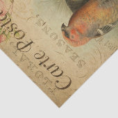 Ephemera Frans Briefkaart Vogelflesontvlechting Tissuepapier (Detail)