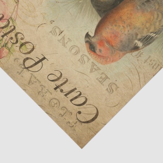 Ephemera Frans Briefkaart Vogelflesontvlechting Tissuepapier (Detail)