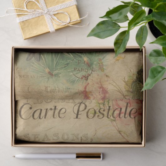 Ephemera Frans Briefkaart Vogelflesontvlechting Tissuepapier (Geschenk)