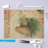 Ephemera Frans Briefkaart Vogelflesontvlechting Tissuepapier (Craft)