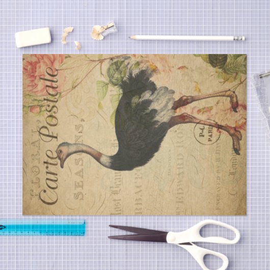 Ephemera Franse Briefkaart Ostrich Decoupage Tissuepapier (Craft)
