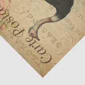 Ephemera Franse Briefkaart Ostrich Decoupage Tissuepapier (Detail)