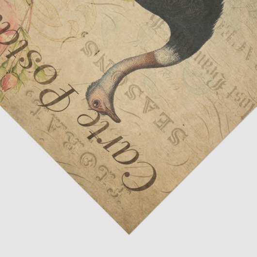 Ephemera Franse Briefkaart Ostrich Decoupage Tissuepapier (Detail)