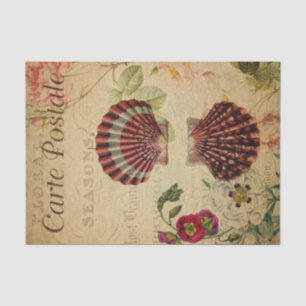 Ephemera Franse Briefkaart Sea Shells ontkoppeling Tissuepapier