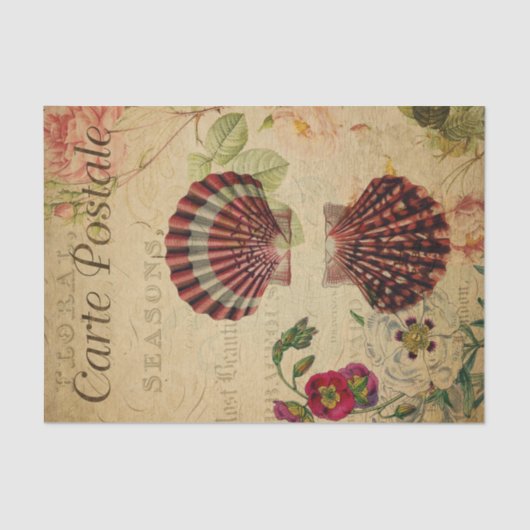 Ephemera Franse Briefkaart Sea Shells ontkoppeling Tissuepapier (Voorkant)