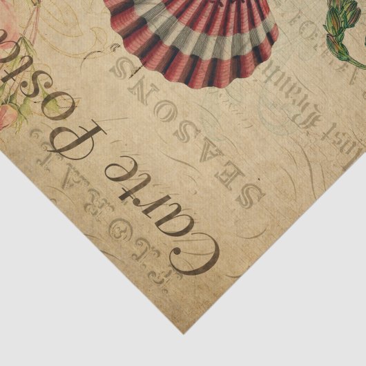 Ephemera Franse Briefkaart Sea Shells ontkoppeling Tissuepapier (Detail)