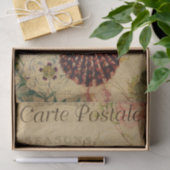 Ephemera Franse Briefkaart Sea Shells ontkoppeling Tissuepapier (Geschenk)