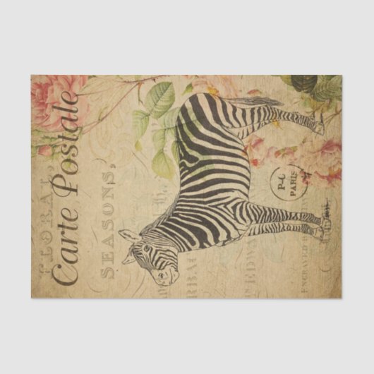 Ephemera Franse Briefkaart Zebra Roze roze ontkopp Tissuepapier (Voorkant)
