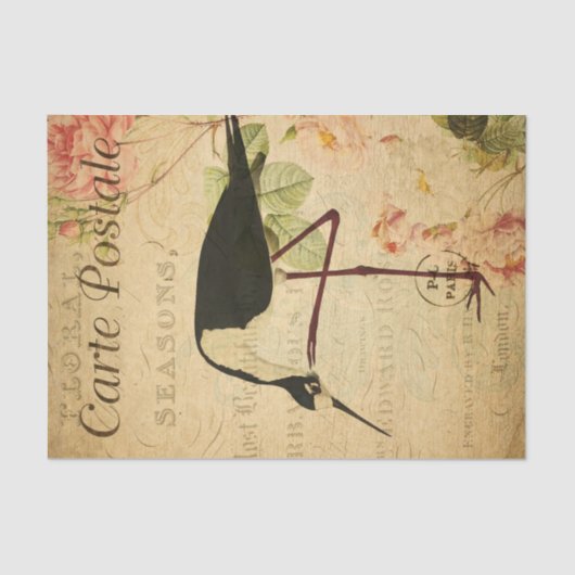 Ephemera French Briefkaart Avocet Bird Decoupage Tissuepapier (Voorkant)