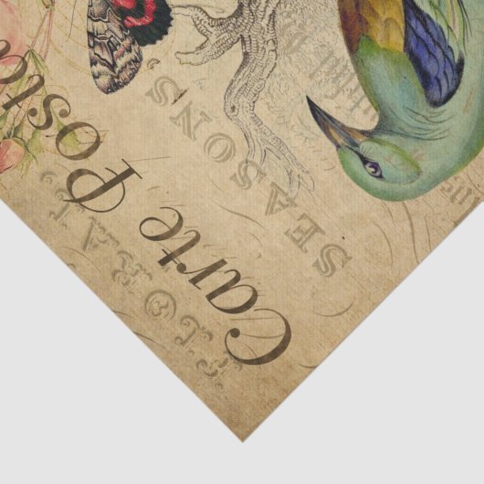 Ephemera French Briefkaart Bird Butterfly Decoupag Tissuepapier (Detail)