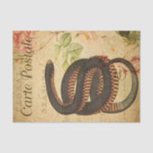 Ephemera French Briefkaart Black Snake Decoupage Tissuepapier (Voorkant)