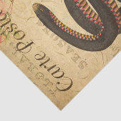 Ephemera French Briefkaart Black Snake Decoupage Tissuepapier (Detail)