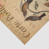 Ephemera French Briefkaart Flycatcher Bird Decoupa Tissuepapier (Detail)