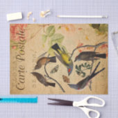 Ephemera French Briefkaart Flycatcher Bird Decoupa Tissuepapier (Craft)