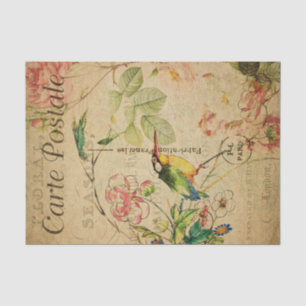 Ephemera French Briefkaart Kingfisher Bird Decoupa Tissuepapier