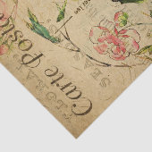 Ephemera French Briefkaart Kingfisher Bird Decoupa Tissuepapier (Detail)