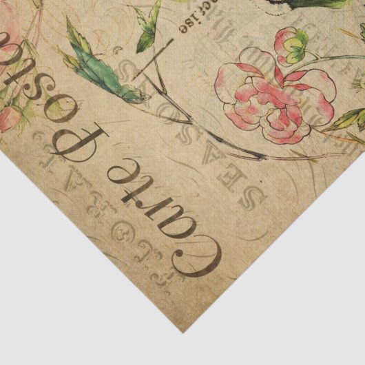 Ephemera French Briefkaart Kingfisher Bird Decoupa Tissuepapier (Detail)